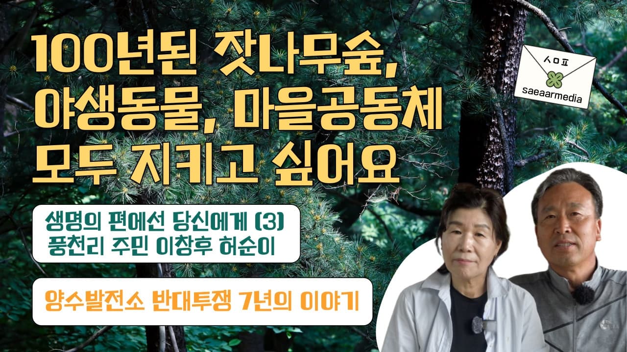 We Saw Gorals Here: Residents Speak About Wildlife in Hongcheon