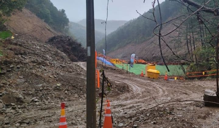 Thousands of Pine Trees Felled for Relocation Road Linked to Hongcheon Project